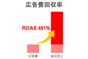シャンプー&トリートメントセット（P2C）販売強化施策 | ROAS 491%の成功事例